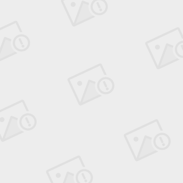枫树价格三年跌超70%